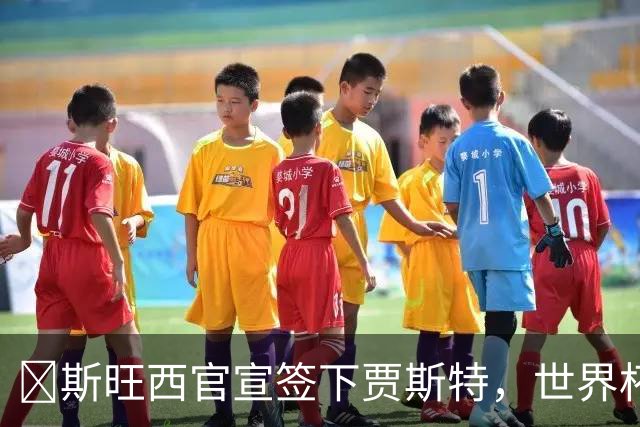 ​斯旺西官宣签下贾斯特，世界杯曾单场两球创历史